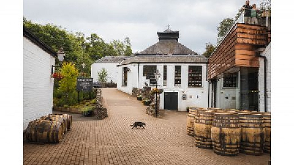 Scottish Glens, Highlands & Whisky Day Tour from Edinburgh
