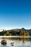 The Lake District with Cream Tea & Cruise First Class with Overnight